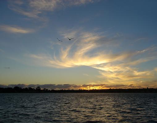 Hauraki Gulf