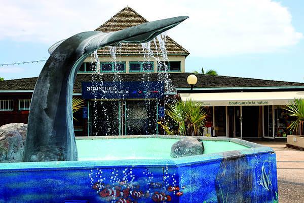 Aquarium de la Reunion