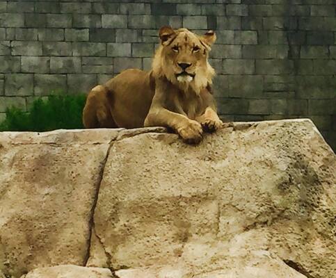 El Paso Zoo