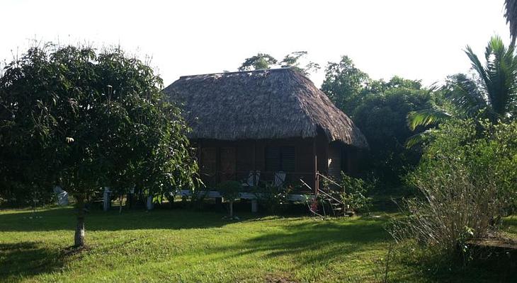 Nature Resort
