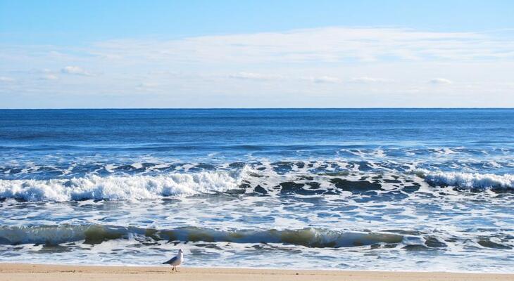 Sea Crest on the Ocean