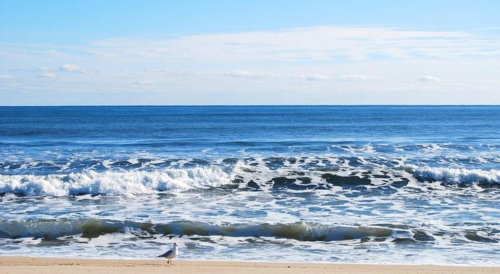 Sea Crest on the Ocean