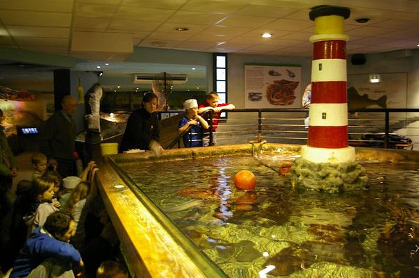 Lakes Aquarium