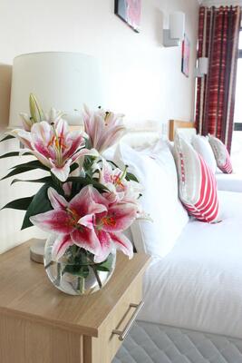 The Pier Hotel, Limerick