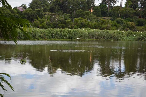 Parc Tsarasaotra