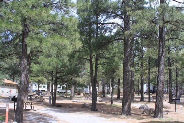Flagstaff KOA