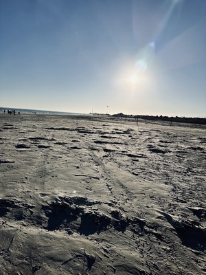Stewart Beach