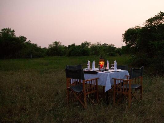 Mahoora Tented Safari Camp Wilpattu