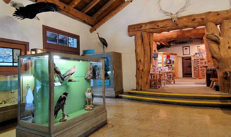 Fishing Bridge Visitor Center and Trailside Museum