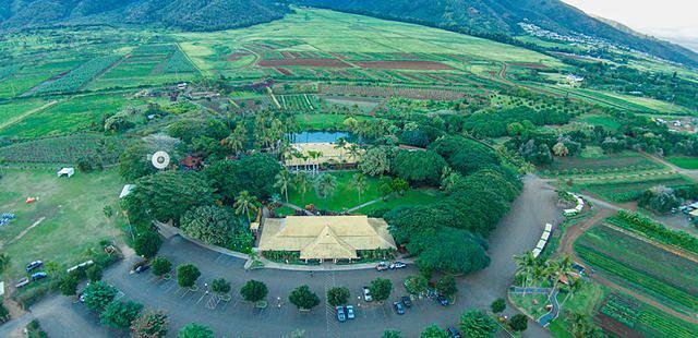 Maui Tropical Plantation