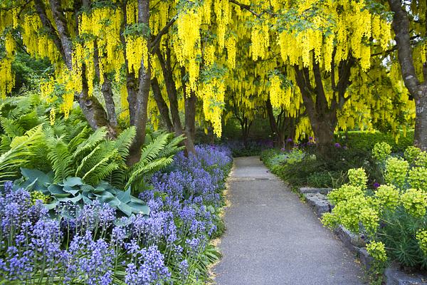 VanDusen Botanical Garden