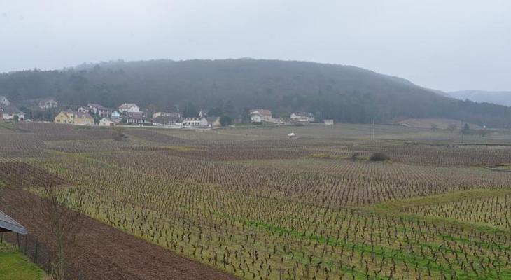 Les Deux Chevres