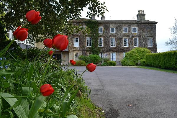 Waterhouse Bed & Breakfast