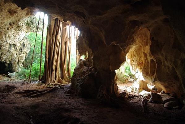 Pirates Caves ,Family Fun Historic Cave & Mini Zoo