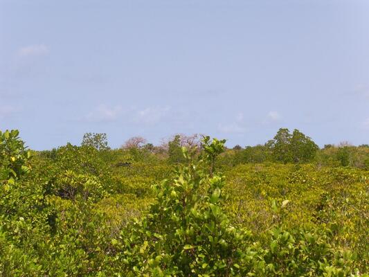 Bandari ya Amani Beach Lodge