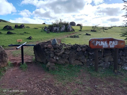 Puna Pau