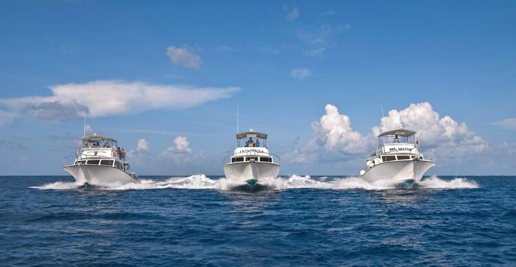 Little Cayman Beach Resort