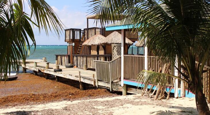 Georphi's Tropical Hideaway
