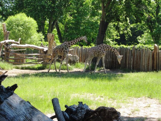 Zoo Boise