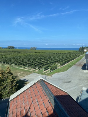 Konzelmann Estate Winery