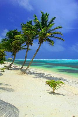 Tranquility Bay Resort