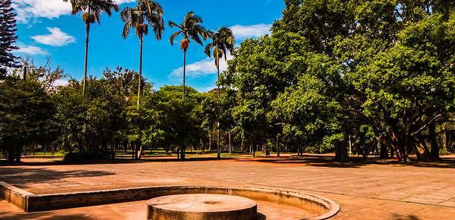 Parque Ibirapuera