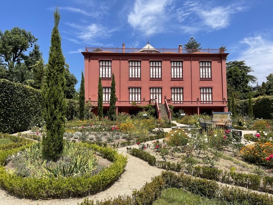 Jardim Botanico do Porto
