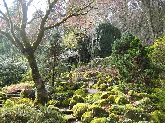 Elk Rock Garden