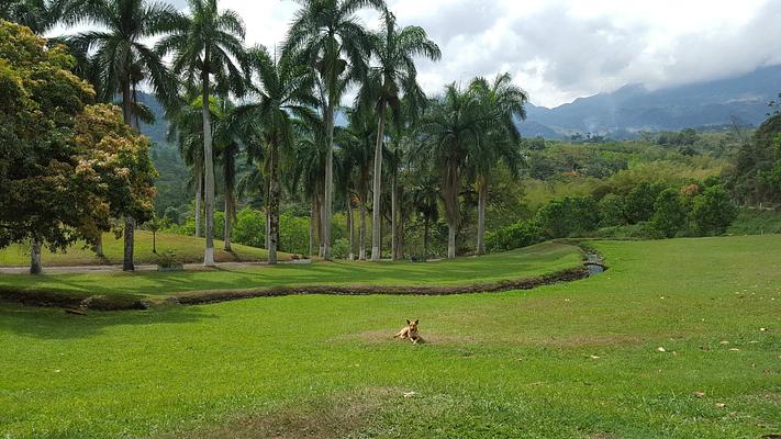 Finca El Refugio Hotel & Spa