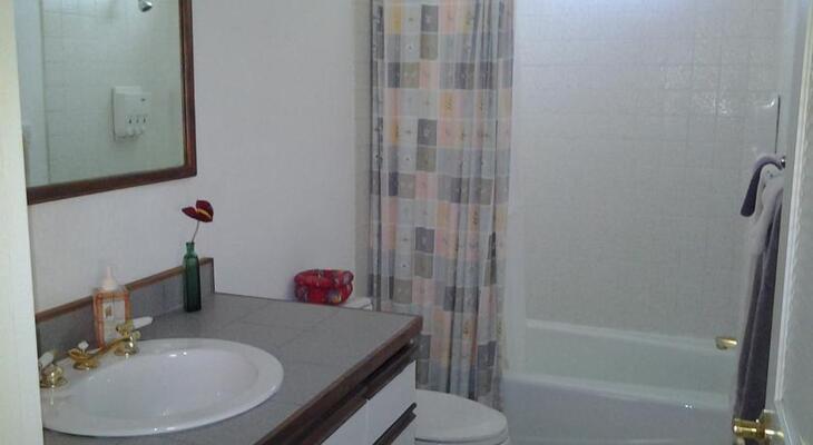 Lava Tree Tropic Inn