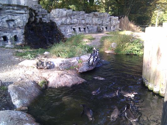 Munchener Tierpark Hellabrunn