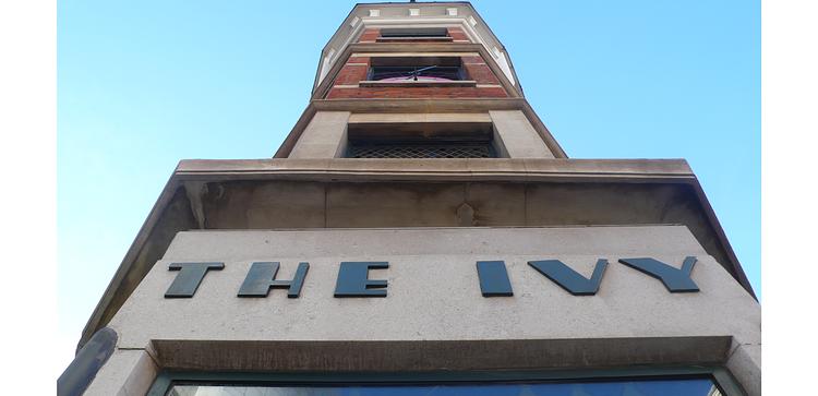 The Ivy