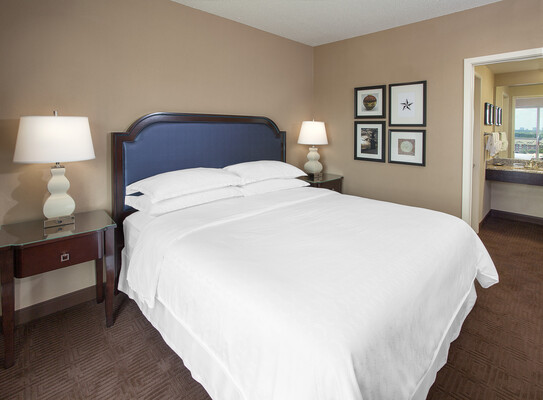 The Chifley Houston, Tapestry Collection by Hilton