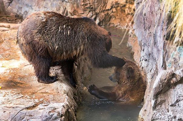 Reid Park Zoo