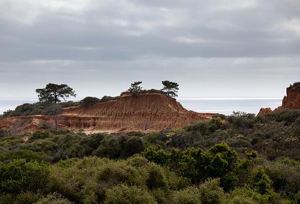 Torrey Pines State Natural Reserve