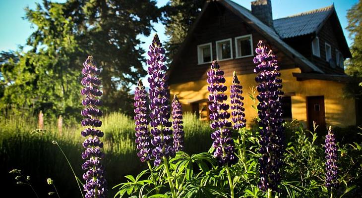 Los Juncos Patagonian Lake House