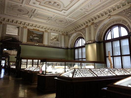 Museum of Natural History Vienna