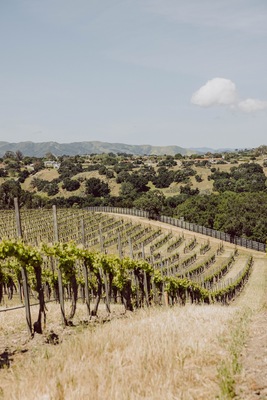 Buttonwood Farm Winery & Vineyard