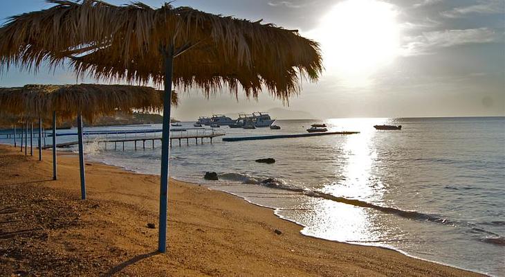 Umbi Sharks Bay Diving Village