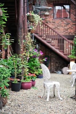 The Shepherd's Purse