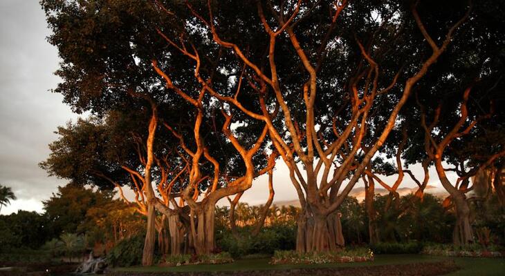 Wailea Beach Resort - Marriott, Maui