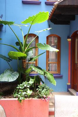 Hotel Tepeyac