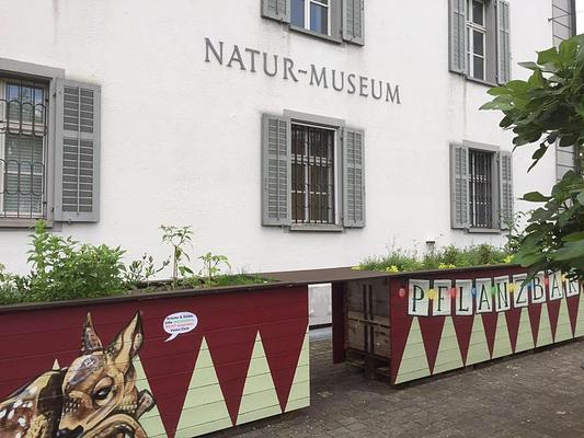 Natur-Museum Luzern