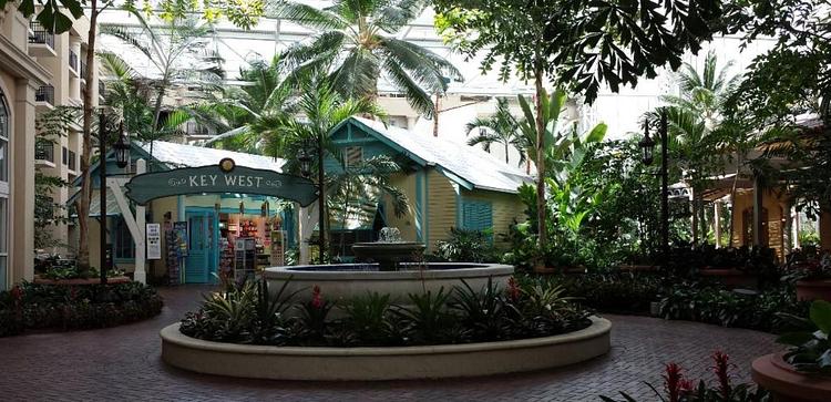 Gaylord Palms Resort & Convention Center