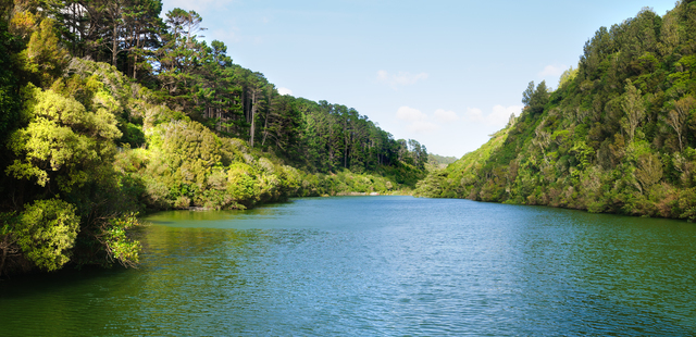 ZEALANDIA Ecosanctuary