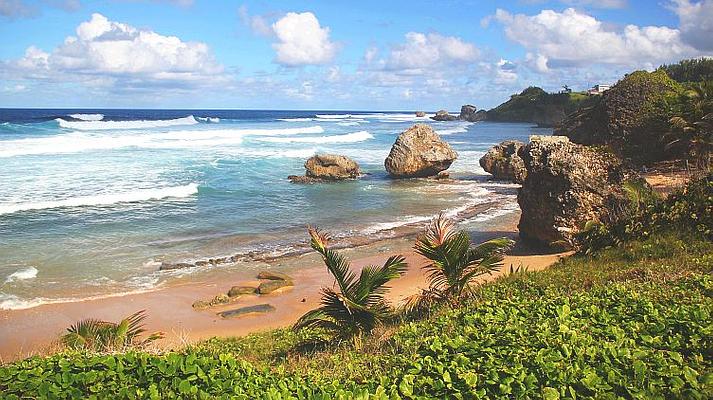 Bathsheba Beach