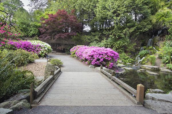 Crystal Springs Rhododendron Garden