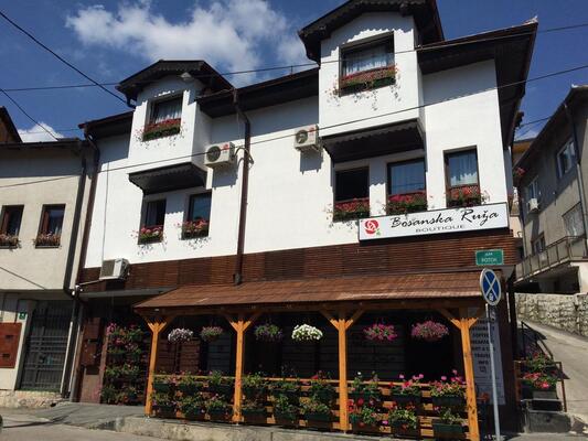 Bosanska Ruza