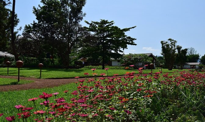 Ameg Lodge Kilimanjaro