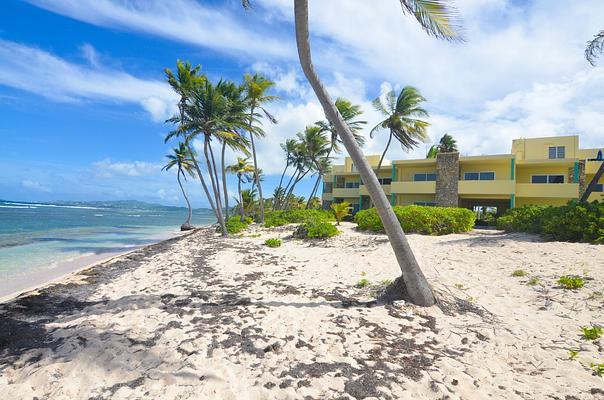 The Palms at Pelican Cove